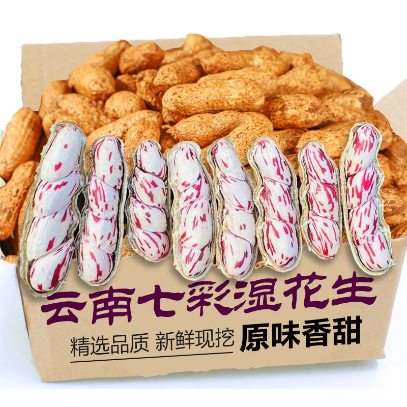 正宗云南七彩花生1斤,新鲜现挖