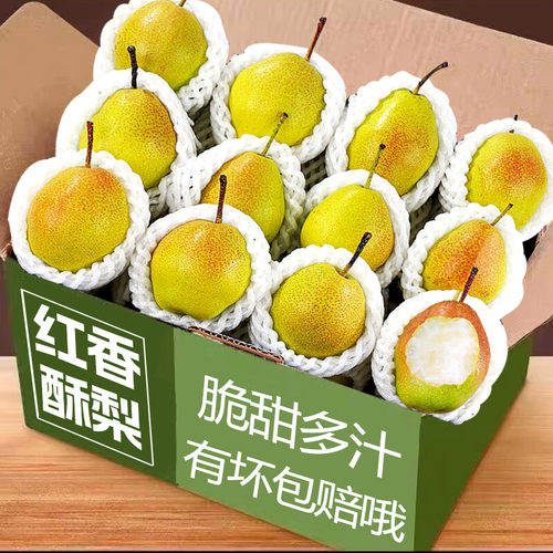 现货正宗香梨当季新鲜水果一整箱梨子脆甜山西红香酥梨青脆甜包邮