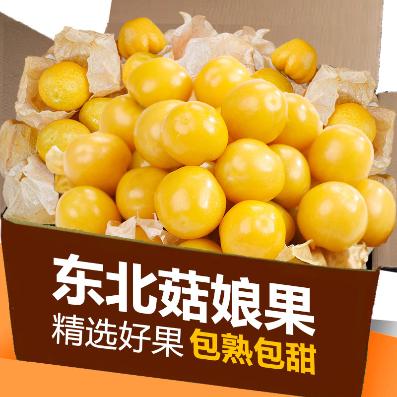现摘东北姑娘果2斤,饱满多汁!