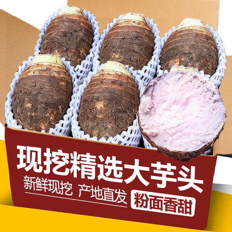 正宗广西荔浦大芋头新鲜芋头粉糯香芋农家特产槟榔芋带皮的毛芋头