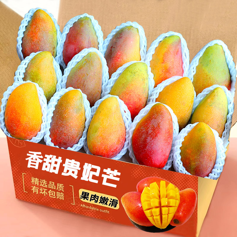 贵妃芒鲜芒果当季水果树上熟青煌现摘当季现整箱红金龙辣椒芒包邮