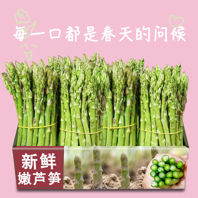 新鲜芦笋产地直销现挖嫩青笋绿鲜芦笋嫩当季蔬菜包邮卢笋3现挖