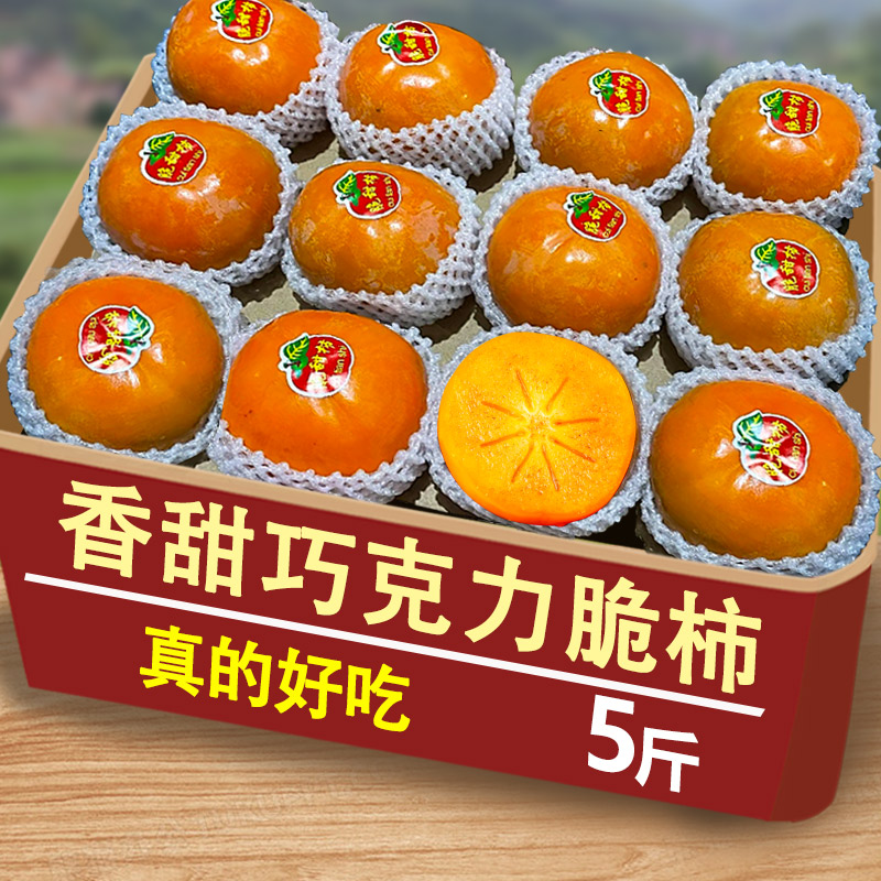 巧克力脆柿子新鲜水果云南太秋应当季脆甜硬红火晶整箱大包邮斤