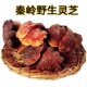 深山野生灵芝精选纯野生大个灵芝泡酒煲汤煮茶正品 干货赤紫黑灵芝