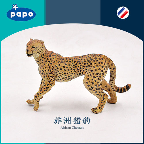 PAPO野生动物法国美洲豹小男孩