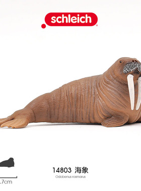 思乐schleich 海象14803海洋生物野生动物仿真模型玩偶男孩小玩具