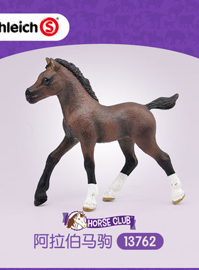 德国schleich思乐 13762阿拉伯马驹马儿俱乐部仿真动物模型玩具