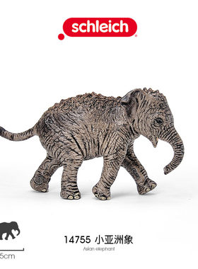思乐Schleich 亚洲小象14755象宝宝仿真草原野生动物模型儿童玩具