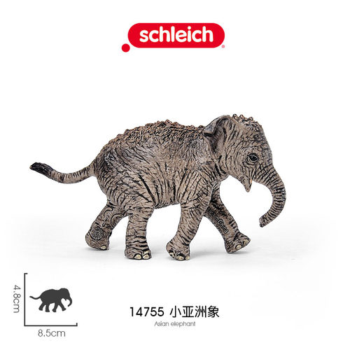 思乐Schleich 亚洲小象14755象宝宝仿真草原野生动物模型儿童玩具