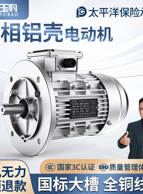 电机380V三相YS铝壳 1400转90120w180W250W370W750WKW电动机马达