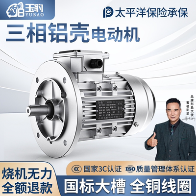 电机380V三相YS铝壳 1400转90120w180W250W370W750WKW电动机马达
