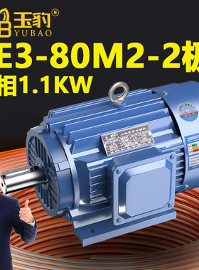 80M2-2极全新YE3系列三相异步电动机国标1.1KW电机380V三相全铜