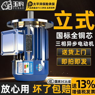1.5 1.1 全铜三相异步电动机0.75 5.5KW电机380V三相 2.2 立式