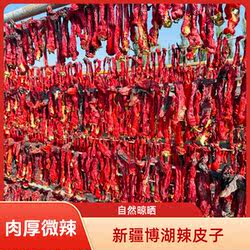 新疆博湖辣椒干肉辣皮子自然晾晒辣椒色泽鲜红炒菜家用