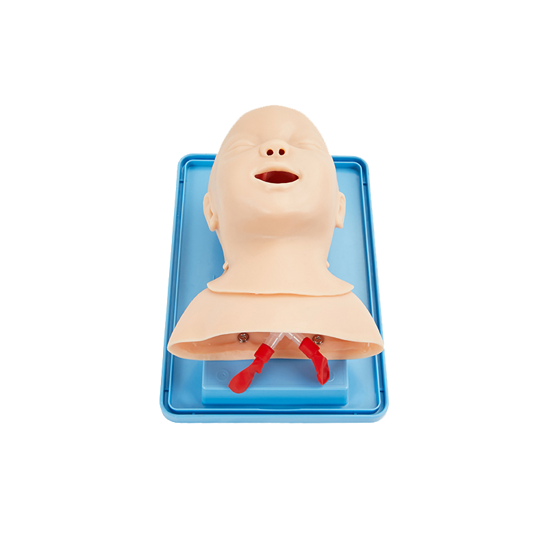 泰贵医学TG/J10婴儿气管插管模型气道护理训练小儿口鼻急救模拟人