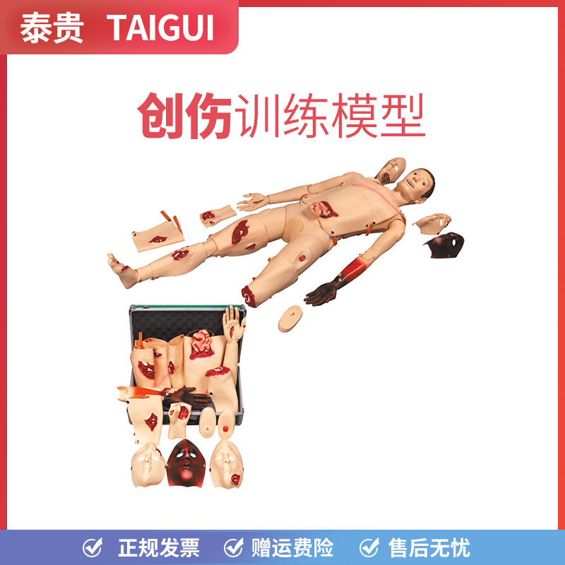 泰贵J110创伤训练模型全功能急救创伤护理包扎操作训练假人体模型