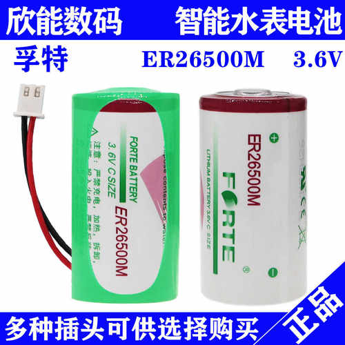 孚特ER26500M锂亚电池涡轮流量计