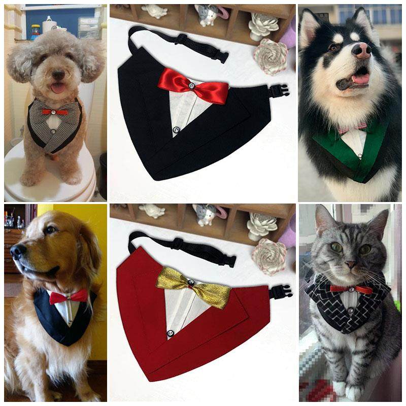 宠物西服装贵宾泰迪领巾 猫咪围巾围兜围嘴 狗狗三角巾口水巾