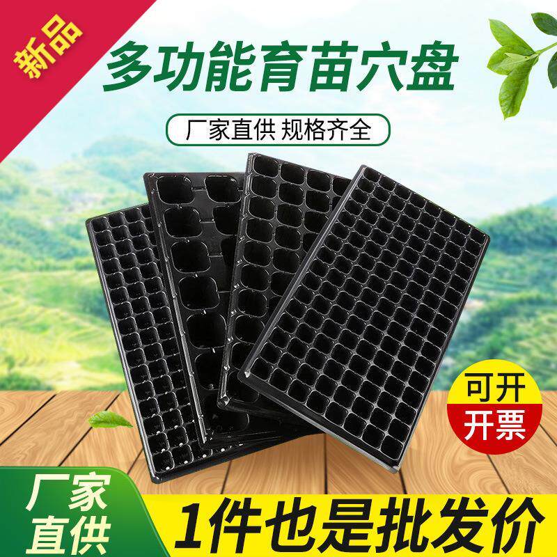 园艺育苗盘平盘塑料育苗盒无孔