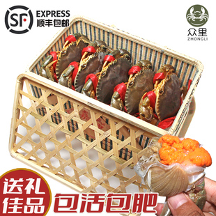 福建青蟹 青蟹礼盒特大红膏蟹红鲟 鲜活海产品 中秋礼盒 中秋送礼