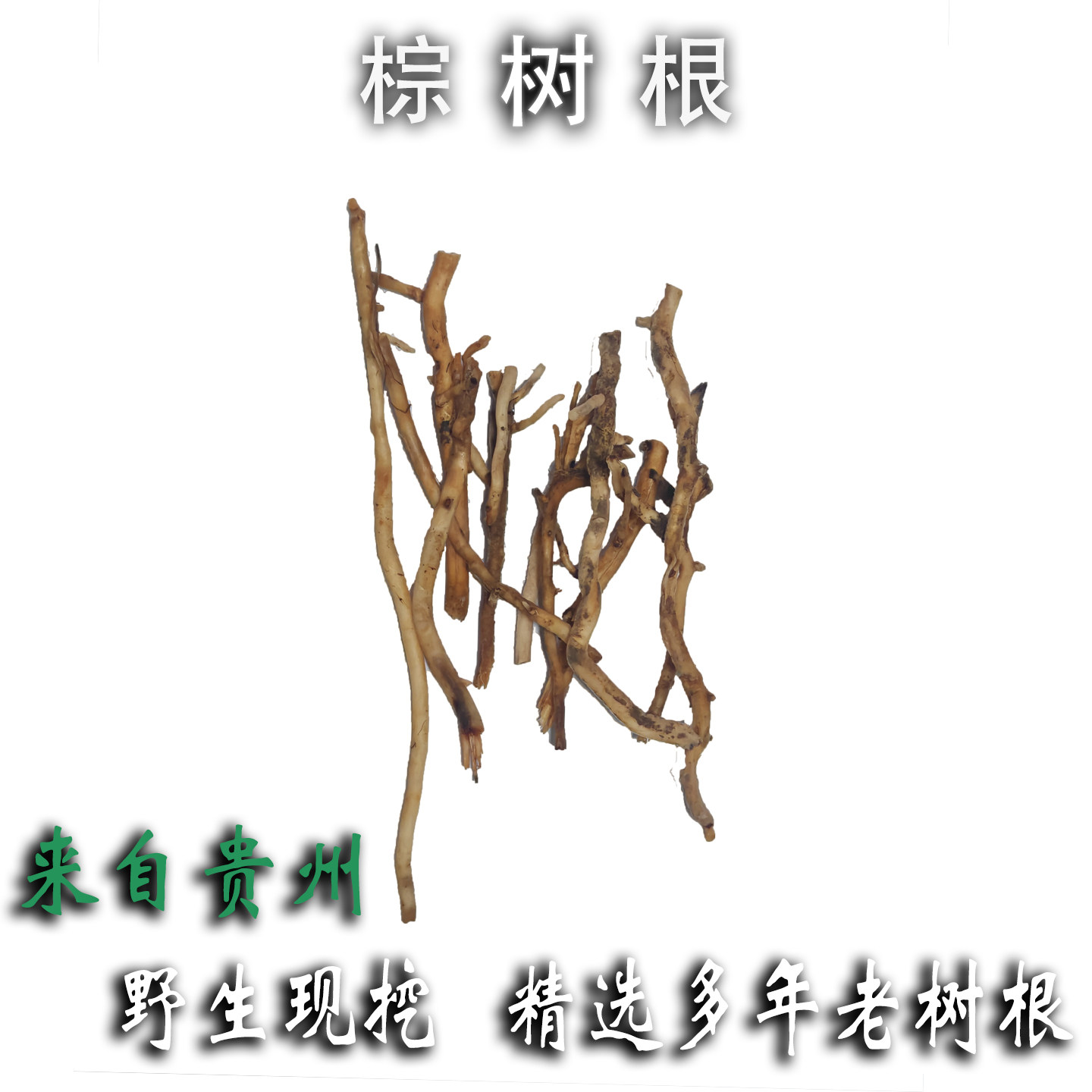 贵州大山新鲜现挖野生棕树根棕榈根农家晒干棕榈树根须