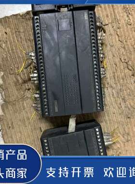 原装正品永宏编程器B1-40MR2-D24     B1-L2DA功能保证