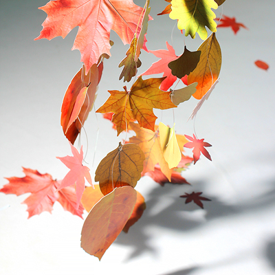 树叶形状卡纸制作绘画涂鸦彩绘幼儿园手工制作填色模具加厚白卡