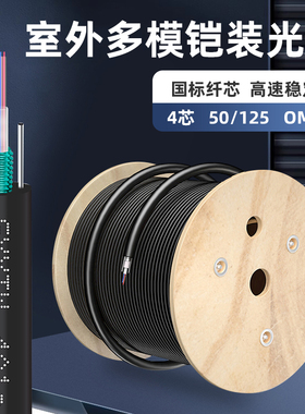 国标室外多模铠装光缆4/6/8/12/24/48芯50/125OM3462.5千兆万兆光纤线