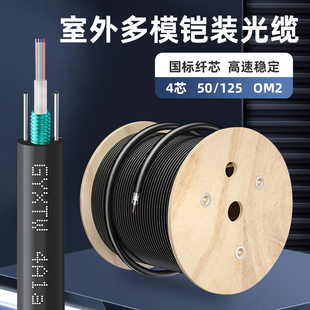 125OM3462.5千兆万兆光纤线 国标室外多模铠装 48芯50 光缆4