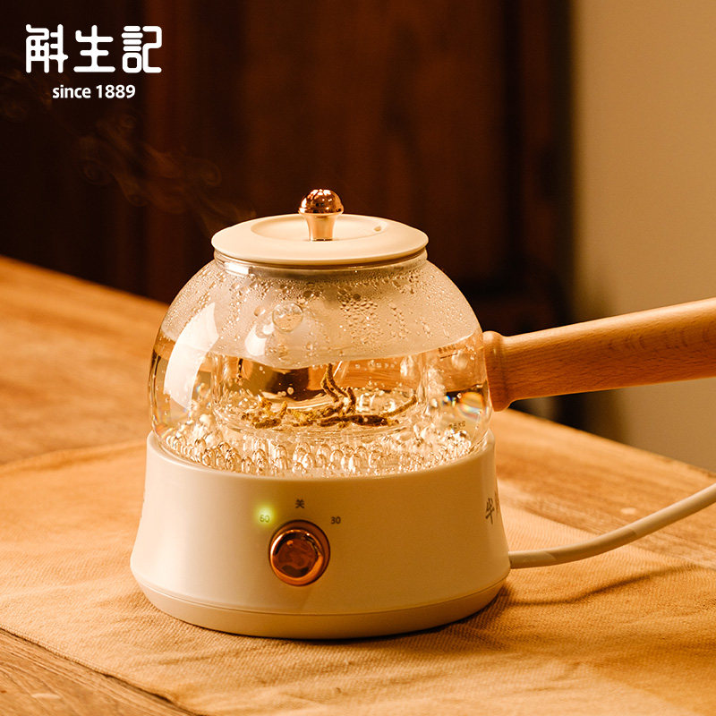 斛生记半斛煮霍山石斛专用煮斛器智能控温煮茶器养生壶