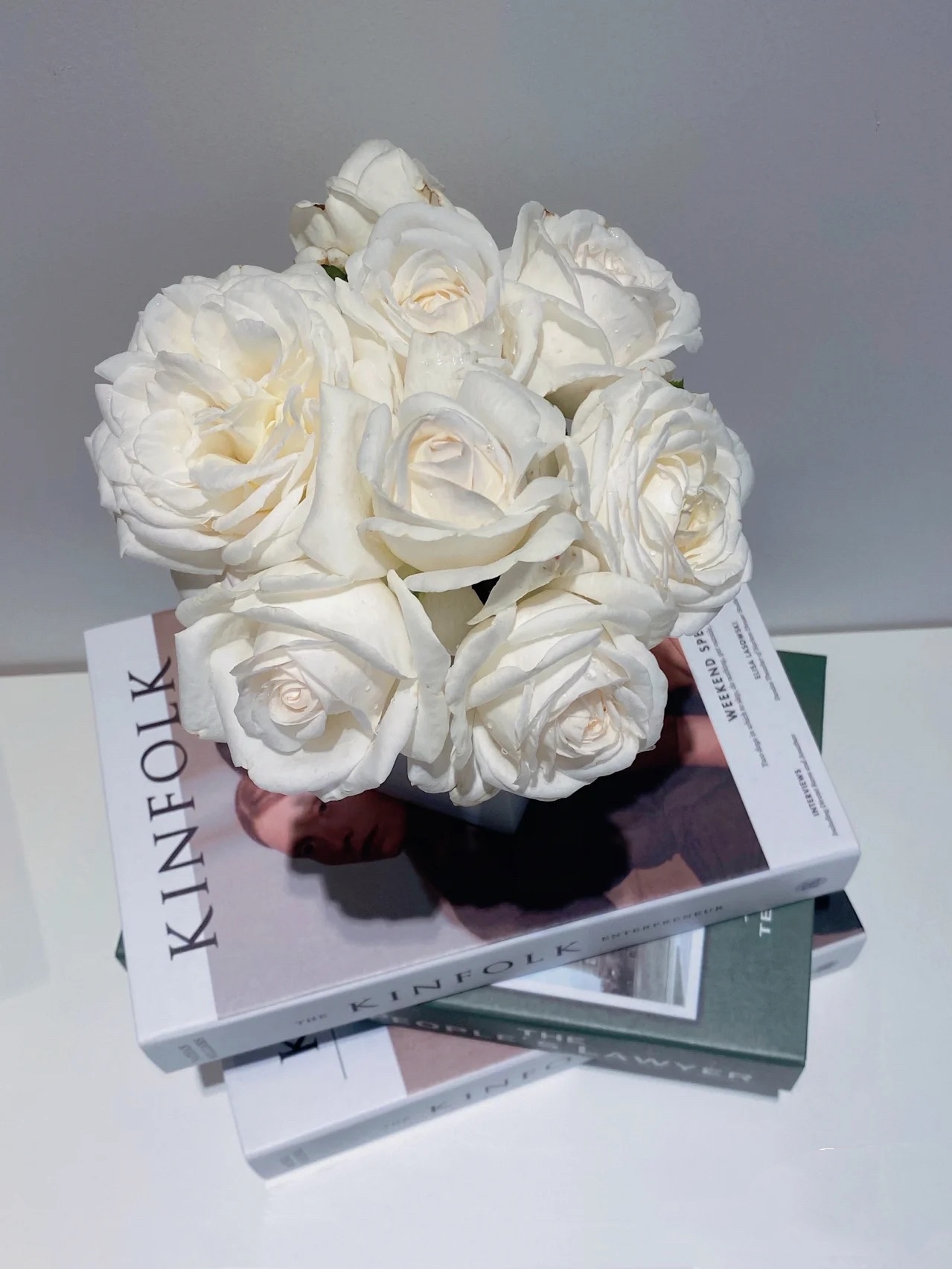 珍妮莫罗单头大花浓香月季花期长直立性强盆栽地栽庭院绿植喜阳植