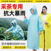 采茶专用雨衣摘茶叶暴雨级女士加厚防水衣服耐磨农民干活防雨装 备