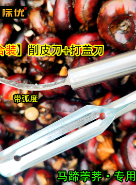 马蹄去皮刀 荸荠削皮刀 打盖刀瓜刨广西马蹄剥皮刀水果专用工具
