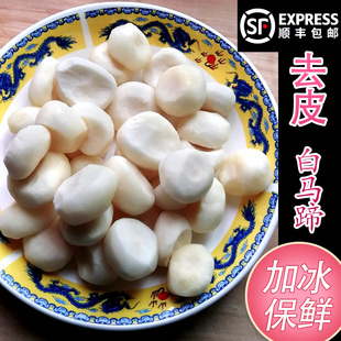 大果去皮马蹄 包邮 新鲜荸荠地梨削皮火锅食材饺子馅料3斤 顺丰