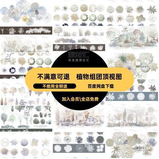 植物组团顶视图清新树木彩PS调笔刷灰平面图块PSD素材立面小小