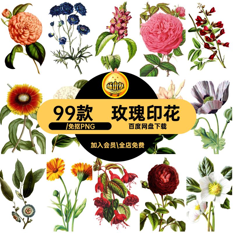 手绘复古水彩玫瑰花卉植物插画剪贴画免抠PNG图案 包装印花素材