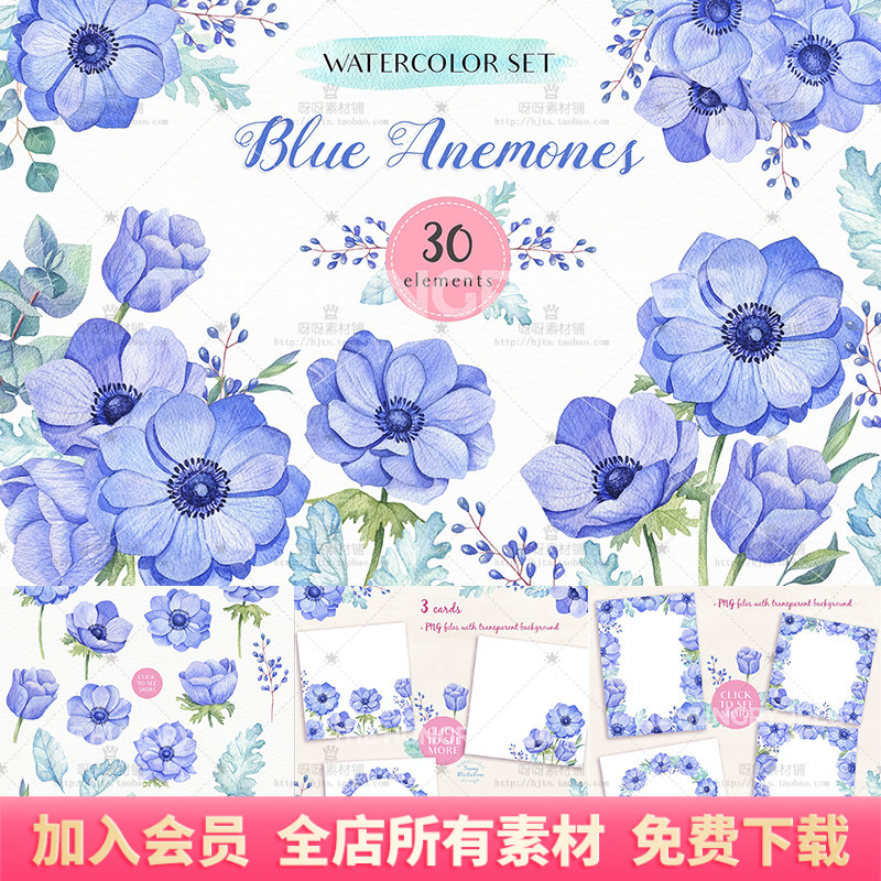 手绘水彩蓝色海葵花卉花束卡片边框PNG免扣婚庆海报装饰设计素材