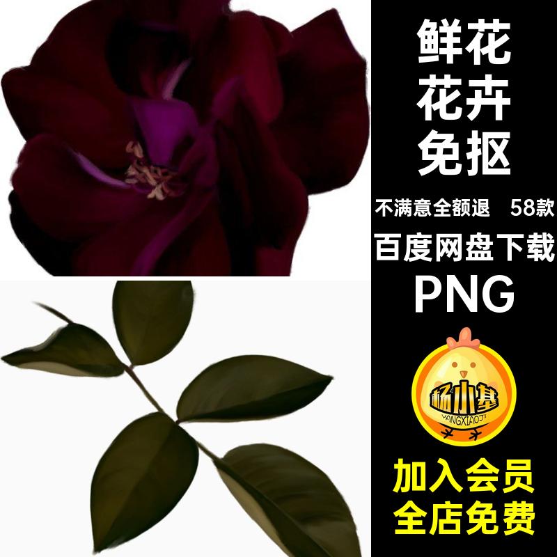 58款装饰花卉免抠插画插图优雅插花油画PNG玫瑰图片素材背景鲜花
