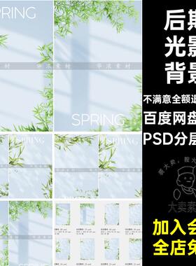 12款竹子光影背景模板PSDPSD分层素材照片PSD分层素材影楼情侣