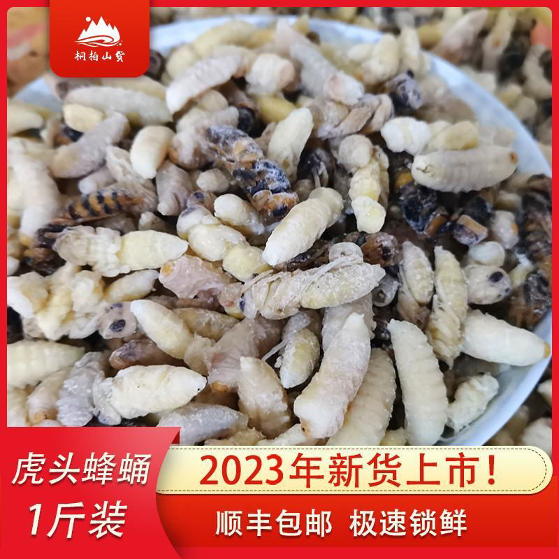 2023年新货虎头蜂蜂蛹