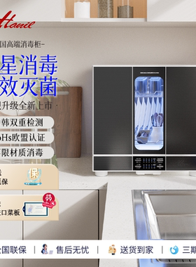 韩国进口Hanil韩一 家用餐具消毒柜桌面厨房台式茶杯具筷消毒碗柜