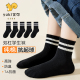 儿童纯棉袜子春秋款 防臭运动中筒棉袜 双杠学生袜男女童小孩秋冬季