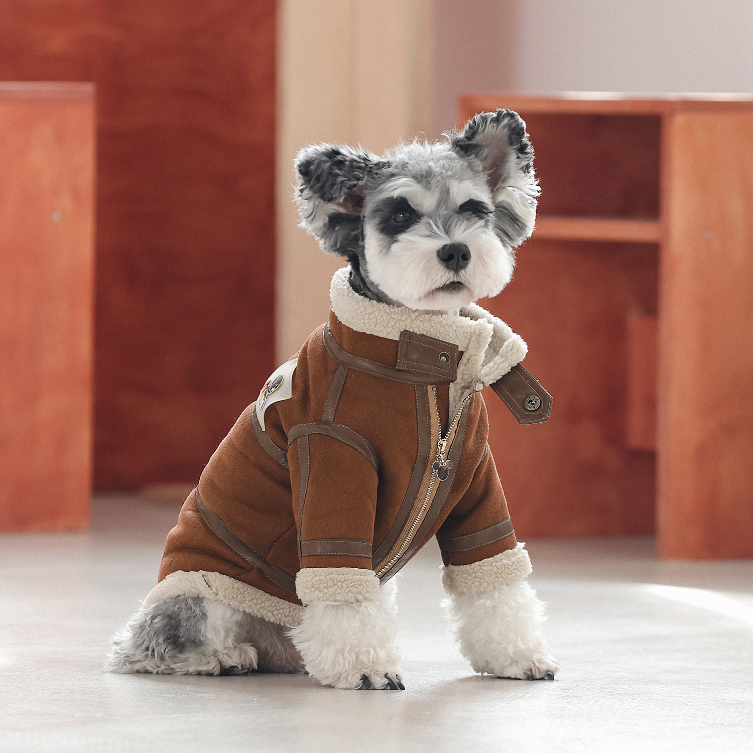 宠物狗狗衣服秋冬保暖加绒猫外套