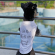 搞笑狗狗背心春夏薄款 泰迪博美比熊斗牛雪纳瑞猫咪小型犬宠物衣服