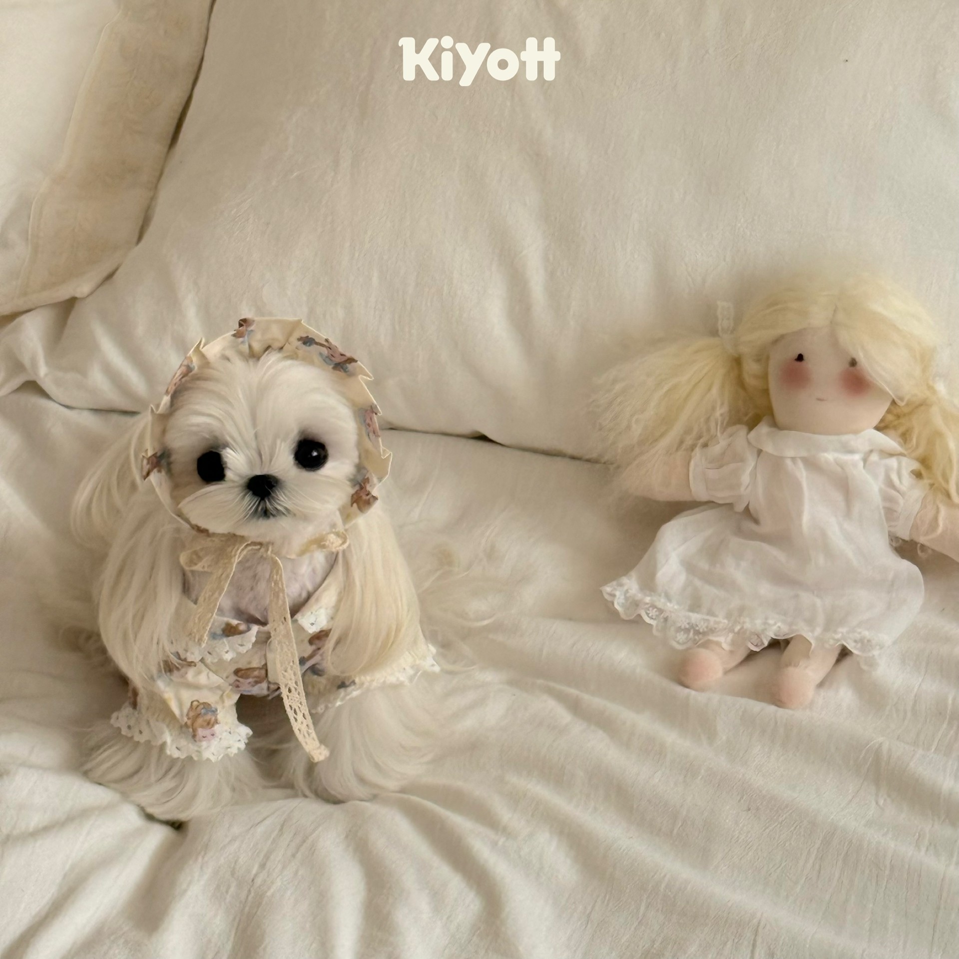 KIYOTT 小天使蕾丝睡衣睡帽两件套宠物狗狗衣服居家纯棉卡通