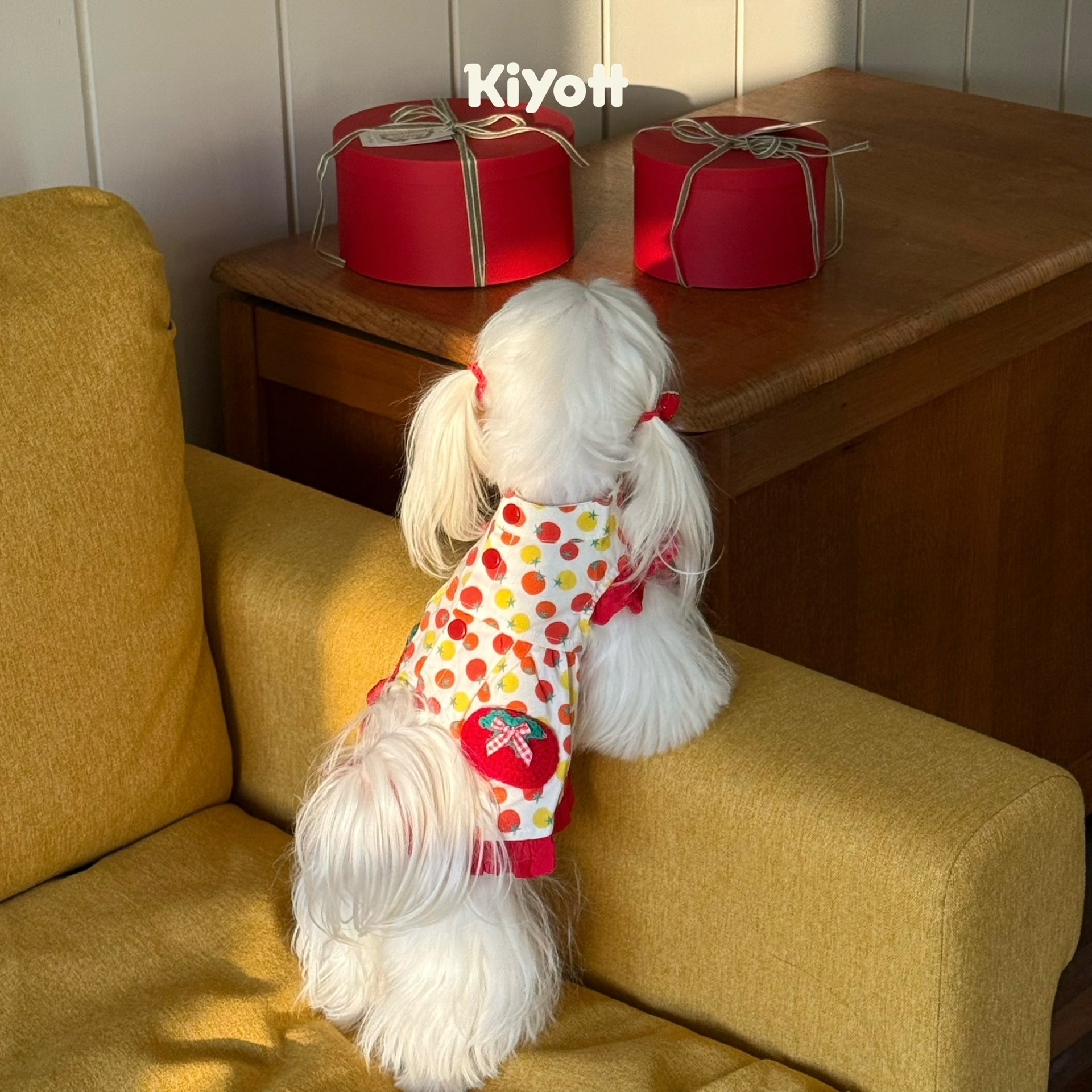 KIYOTT 西红柿鸡蛋宠物狗狗连身裙可爱新款西施小约小型犬衣服