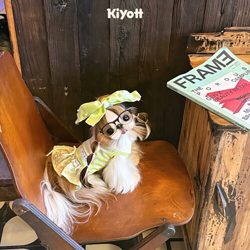 KIYOTT 一颗青梅果miu风运动裙宠物狗狗衣服可爱清新薄款