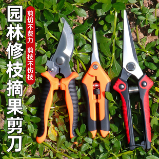 果树剪刀修枝神器修枝摘果剪花卉剪树枝绿化嫁接园艺剪不锈钢剪刀