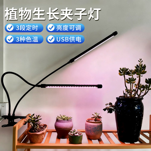 多肉植物补光灯植物生长灯放徒长