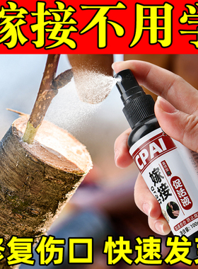 嫁接促活液植物伤口愈合剂嫁接神器喷剂果树木盆景切口专用愈合剂